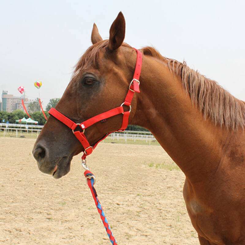 Horse Bridle Horse Headgear Can Be Customized Equestrian