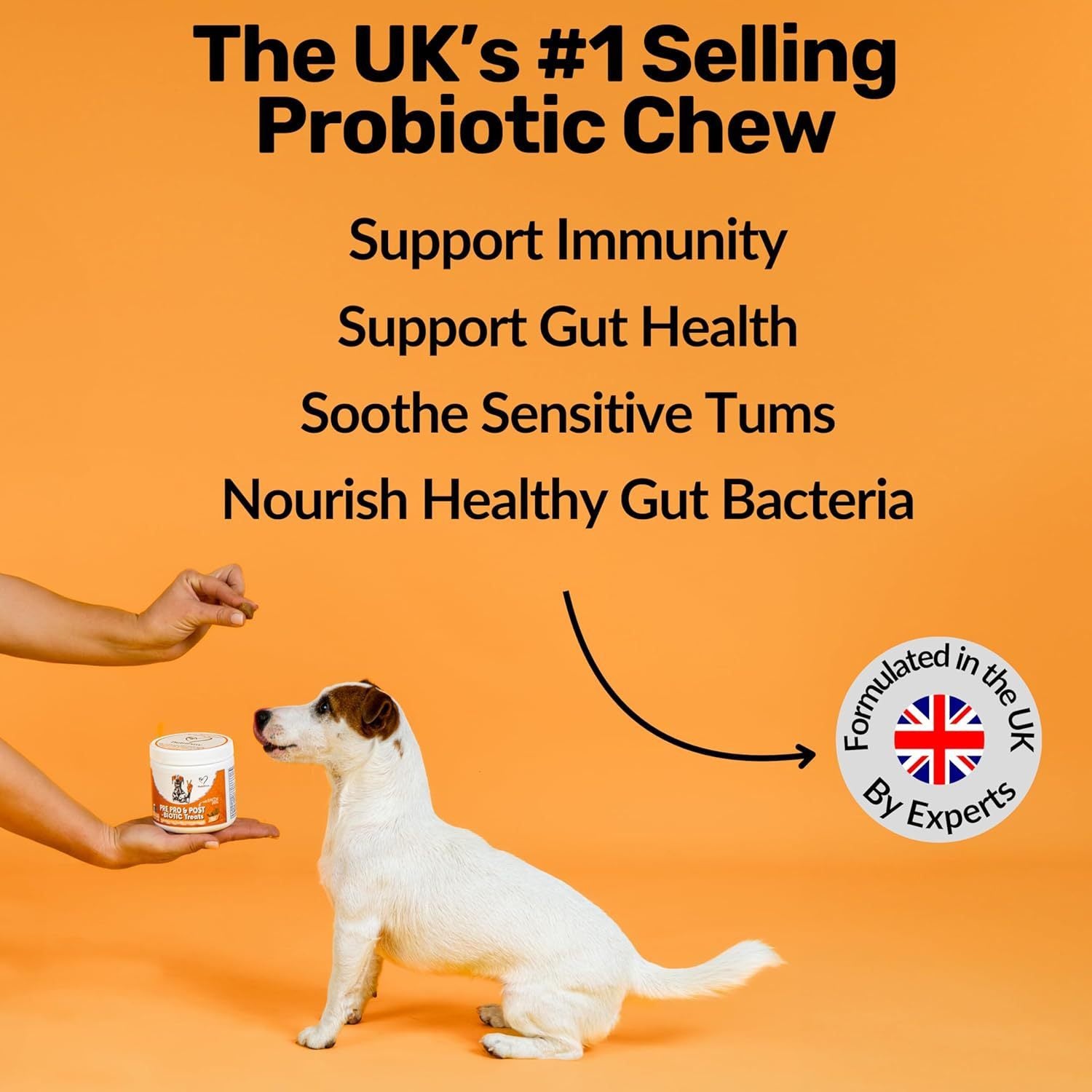 Dog Prebiotics Digestive Snacks Intestinal Pet Health