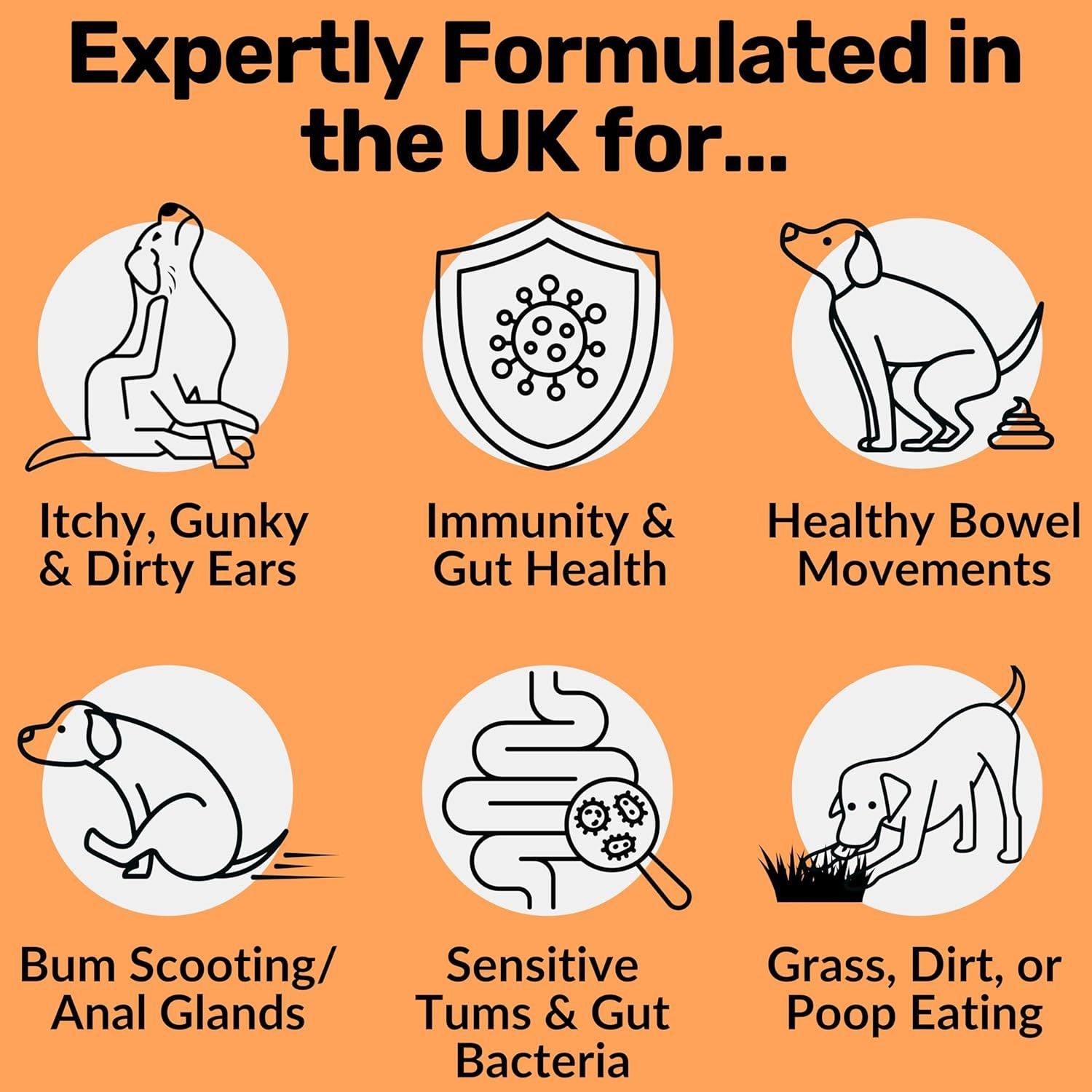 Dog Prebiotics Digestive Snacks Intestinal Pet Health