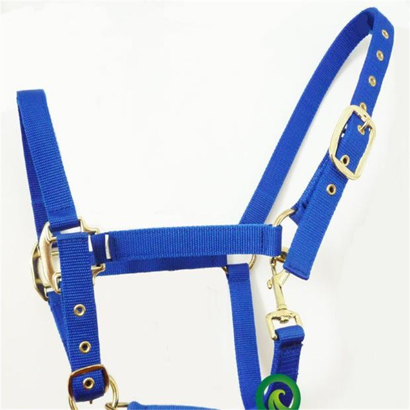 Horse Bridle Horse Headgear Can Be Customized Equestrian